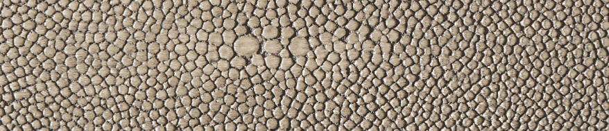 Fog Shagreen
